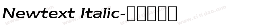Newtext Italic字体转换